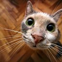 ���� ���� ����, ������, 23 ���� - ��������� 13 ���� 2019