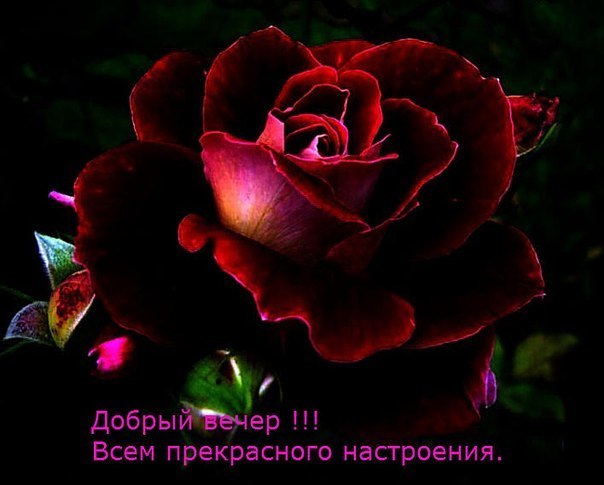   ,    . - 17  2019  17:40 - 2