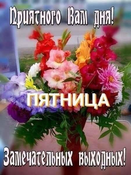   ,    . - 7  2019  08:33 - 5