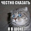 ���� ����, �����-���������, 56 ��� - ��������� 24 ������� 2019 � ������ ���� ����������