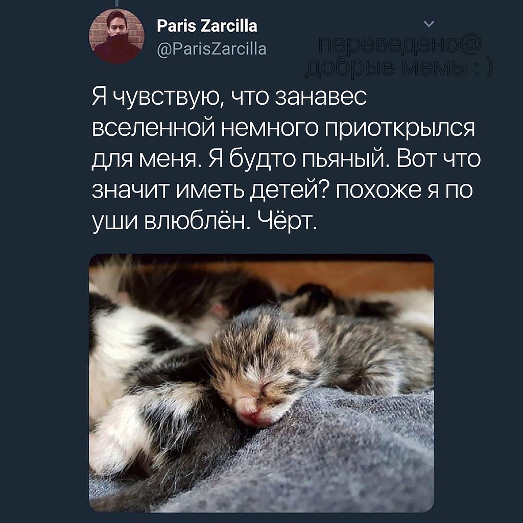      - 5