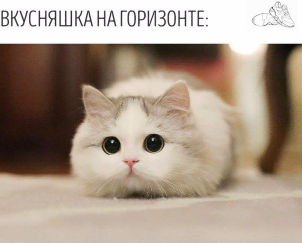    - 9  2019  03:45
