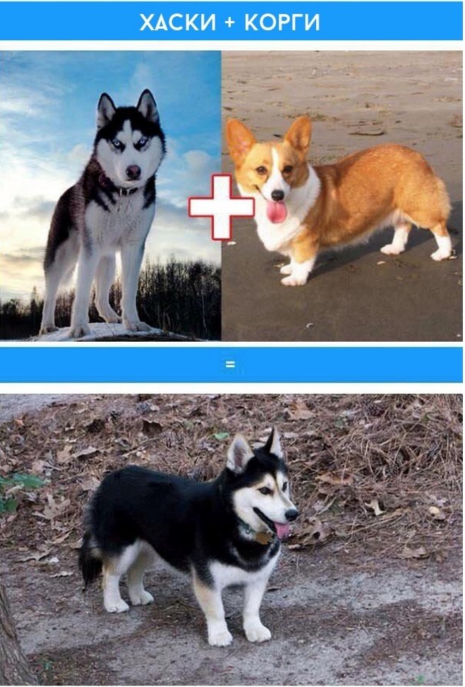    - 9