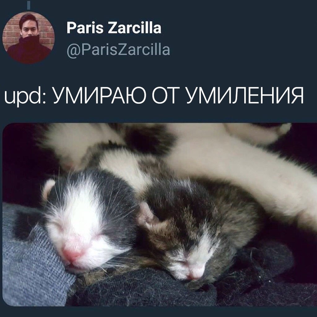      - 3