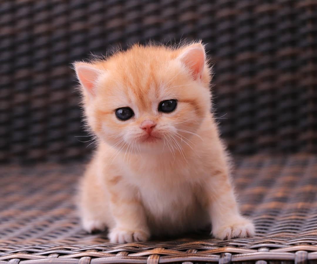     :3 - 5