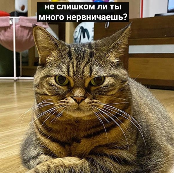    :  - 3