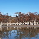 ���� ������, �����, 54 ���� - ��������� 10 ������ 2019 � ������ ���� ����������