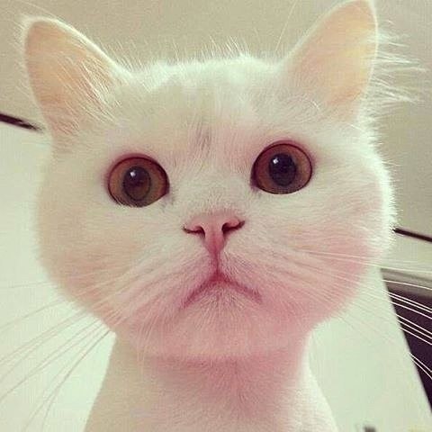   ?  !   ,  ,    ,    !