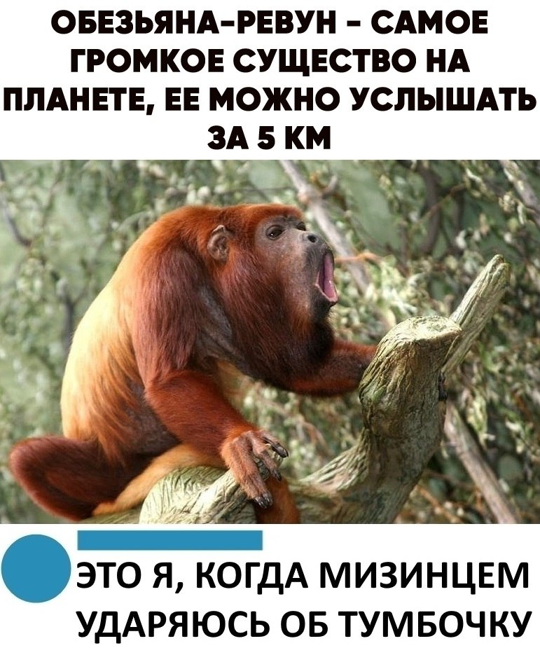  - 13  2019  19:05