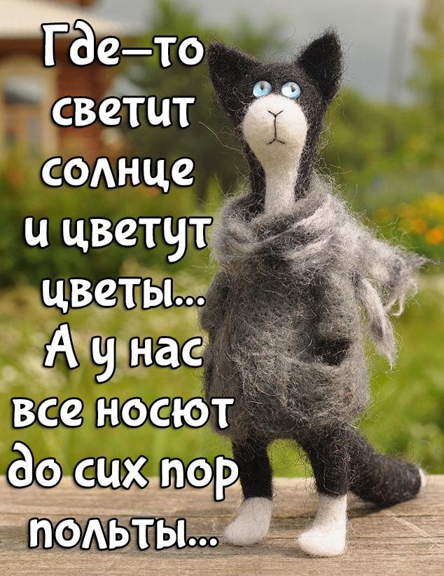   ,    . - 2  2019  18:45