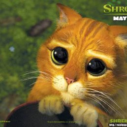 Serg, ������, 47 ���