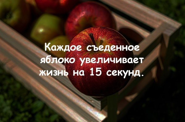 ������� - 21 ������ 2019 � 03:41