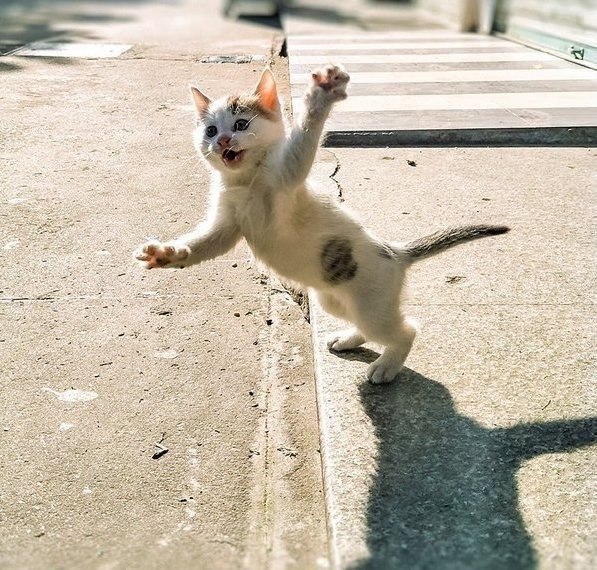 Ta.Ta!