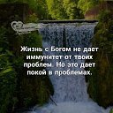 ���� �� �������, �������, 41 ��� - ��������� 25 ���� 2019 � ������ ������ ��������