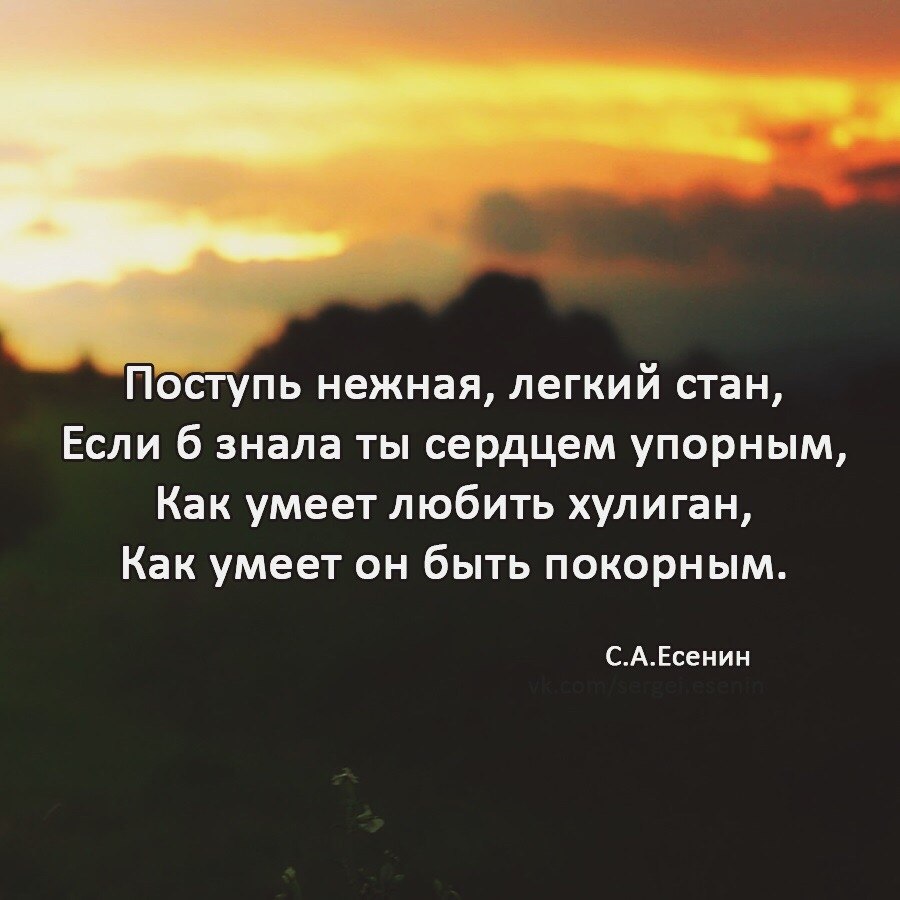  - 3  2019  05:21