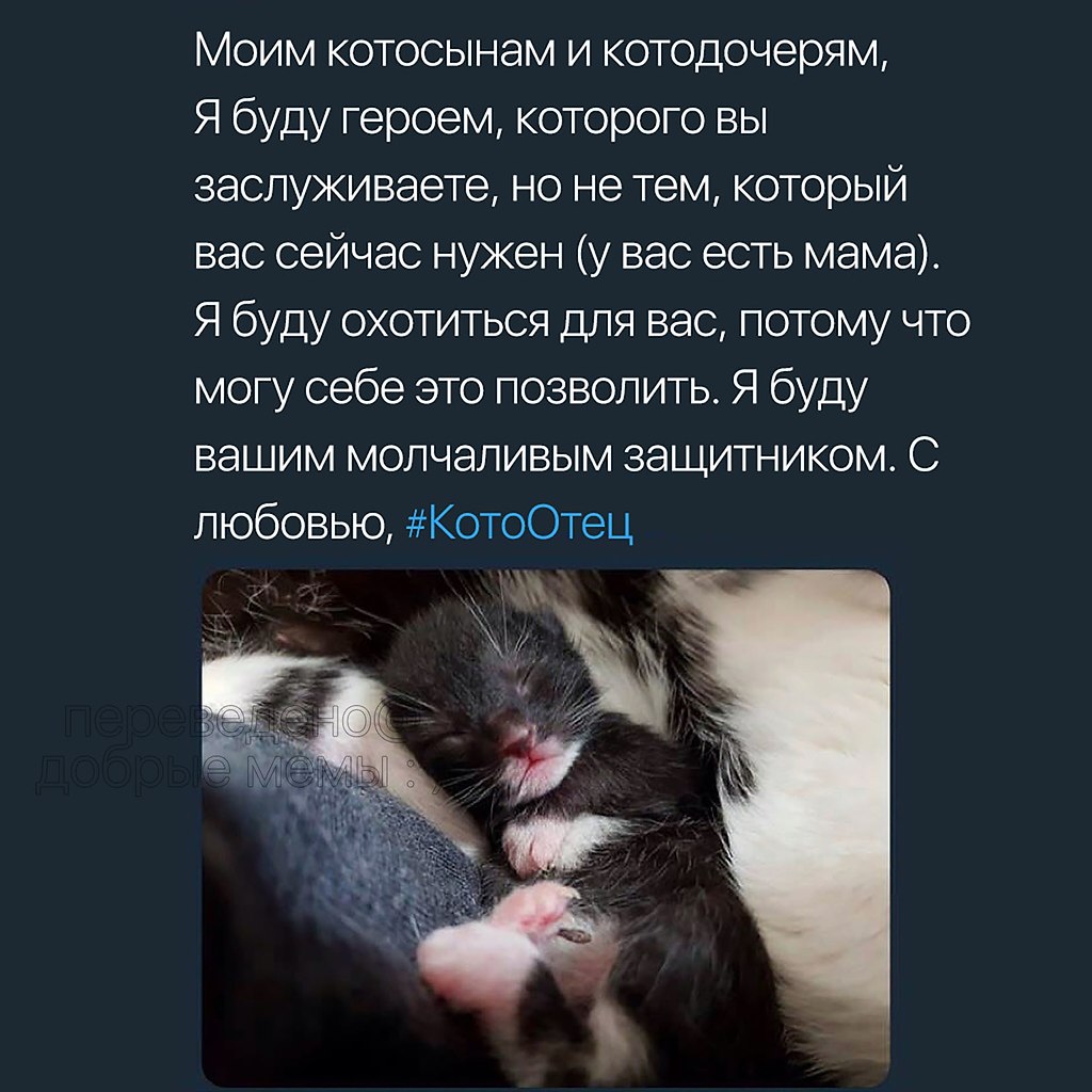      - 6