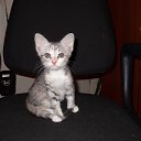 ���� ���������, ���������, 46 ��� - ��������� 9 ������ 2019 � ������ ���� ����������