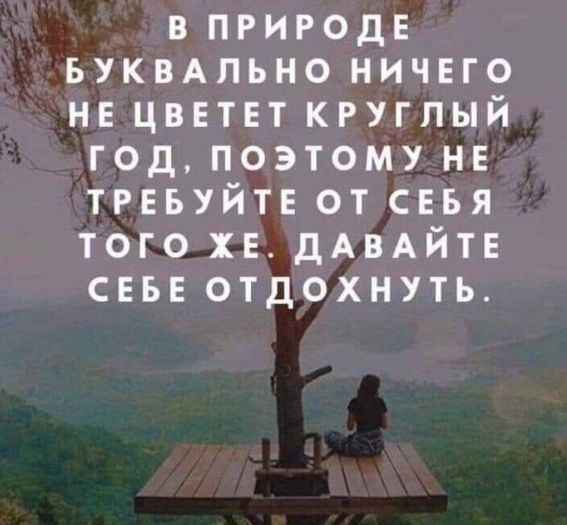 Zemlyanika - 26  2019  23:26