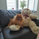  , , 53  -  29  2019   2019.