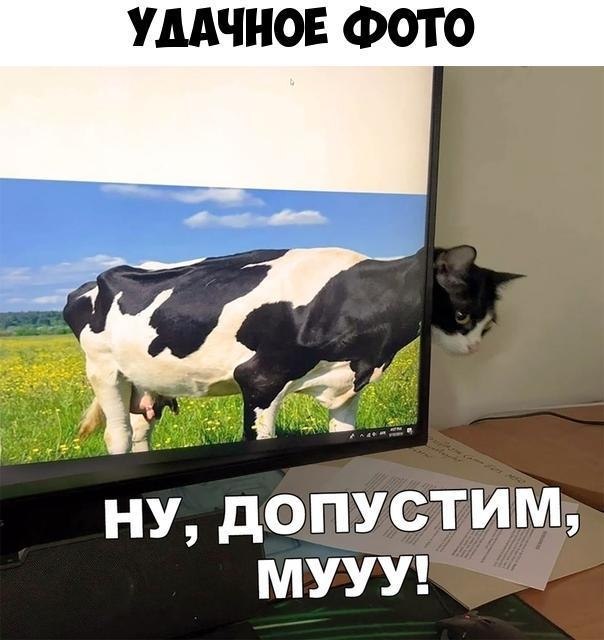   :D - 24  2019  03:58