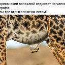 ���� ������, ���, 45 ��� - ��������� 1 ������ 2020 � ������ ������ ��������
