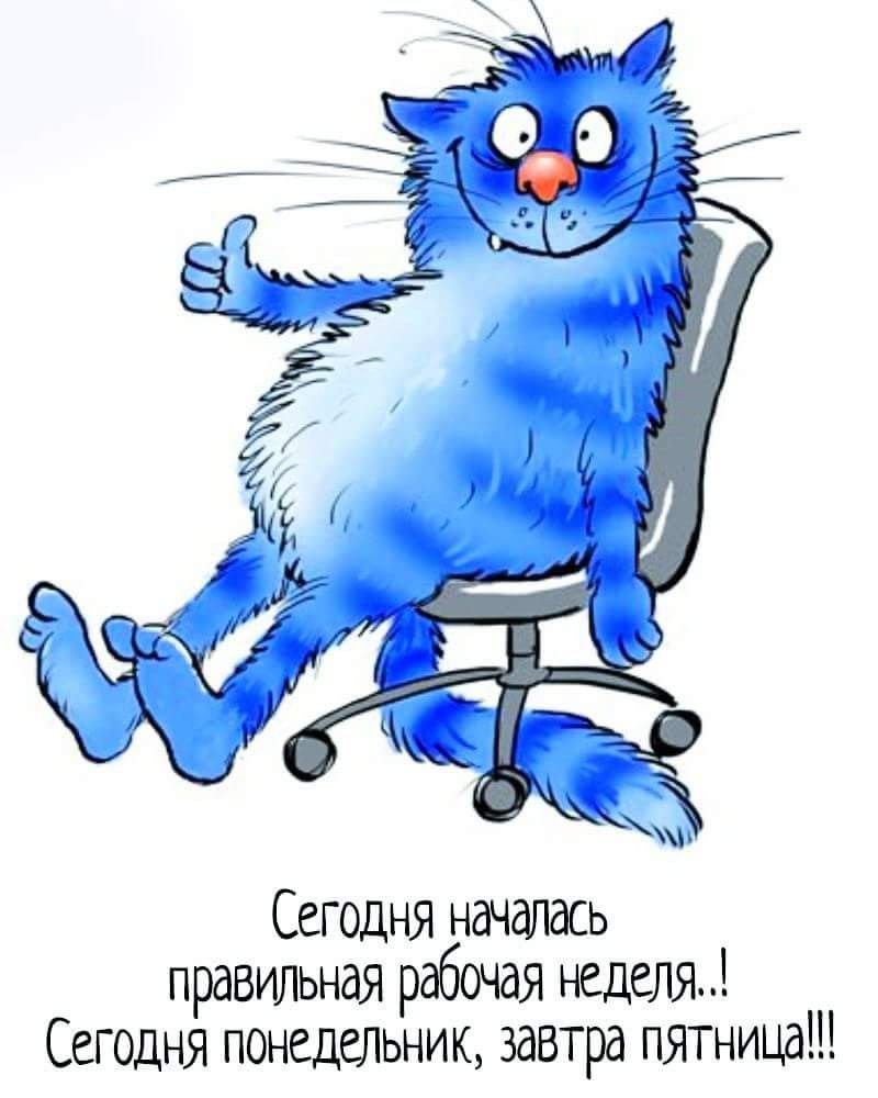  - 29  2019  14:18