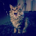 ���� Rza, ������, 31 ��� - ��������� 10 ������� 2019 � ������ ���� ����������