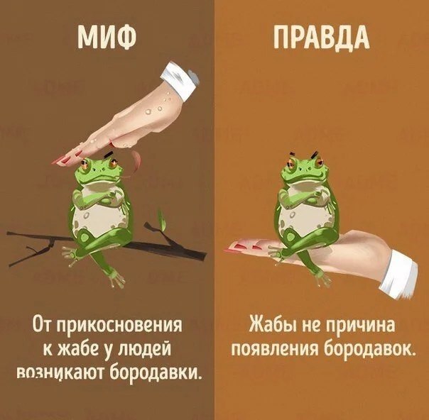  10-   .       ,          ... - 4
