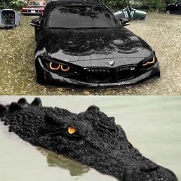 ���� �����, �����������, 47 ��� - ��������� 12 �������� 2019