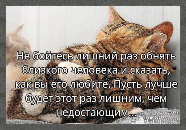 ☆ ☆ - 19  2019  03:56