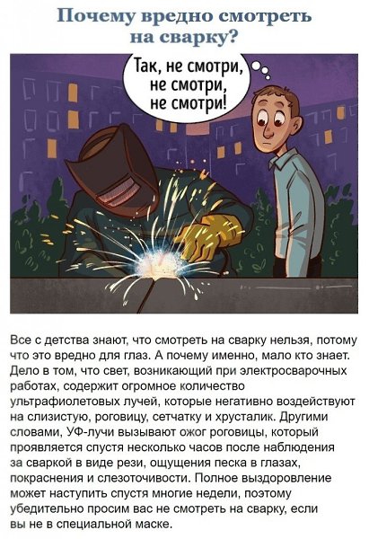 На это детские вопросы ответит далеко не каждый. - 2