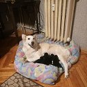 ���� Damyan Nikolov, �����, 64 ���� - ��������� 24 ������ 2019 � ������ �������