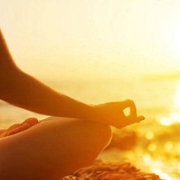 ������, ���������, 55 ���