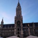  Sl Vivacobra, , 53  -  7  2019    