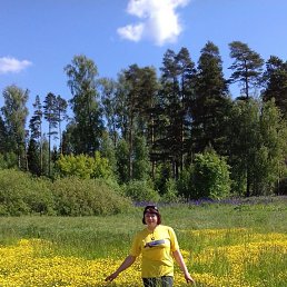 ���� ����, ������-��-����, 52 ���� - ��������� 13 ������� 2019