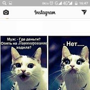 , 61 , -