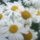 ���� �������, ������, 68 ��� - ��������� 17 ���� 2019 � ������ �2019�