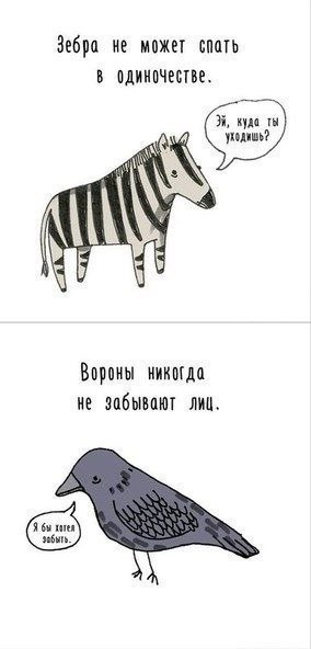    ... - 6