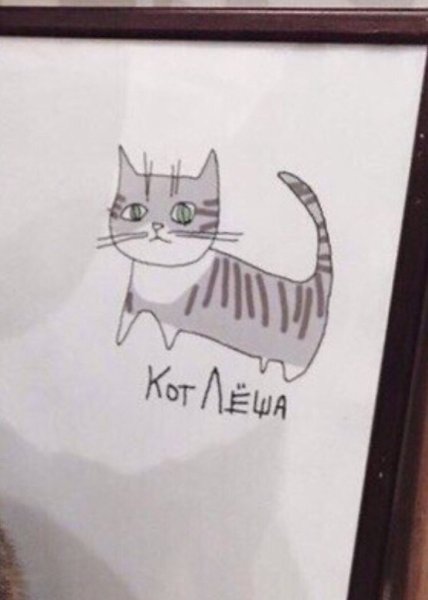 Леша котик по французски
