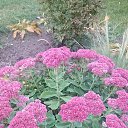 ���� ������, ������� - ��������� 14 ������� 2019 � ������ ���� ����������