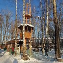  , , 50  -  1  2019    19