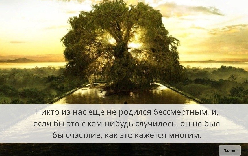    - 8  2019  19:16