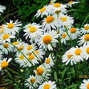 ���� ������, ������ - ��������� 19 ���� 2019 � ������ ������ ��������