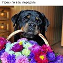 ���� ����, �����-���������, 51 ��� - ��������� 24 ��� 2019 � ������ ���� ����������