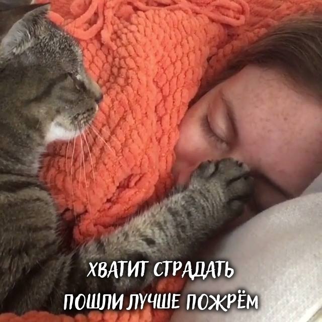       - 6