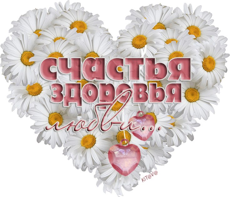   ,    . - 9  2019  16:58