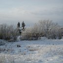 ���� �������, ��������, 49 ��� - ��������� 3 ������ 2020 � ������ ���� ����������