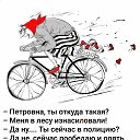  , , 54  -  11  2019    