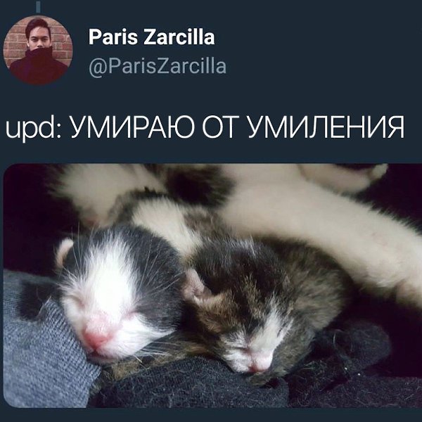      - 3