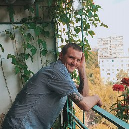 ������, ������, 51 ���